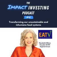 The Impact Investing Podcast artwork