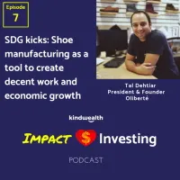 The Impact Investing Podcast artwork