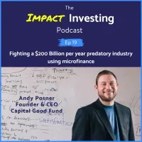 The Impact Investing Podcast artwork