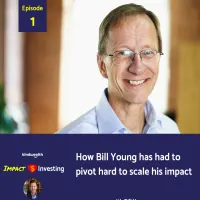 The Impact Investing Podcast artwork