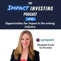 The Impact Investing Podcast artwork