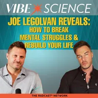 THE VIBE SCIENCE PODCAST artwork