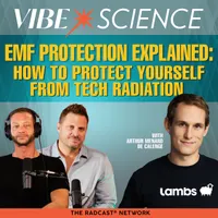 THE VIBE SCIENCE PODCAST artwork