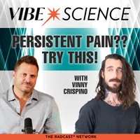THE VIBE SCIENCE PODCAST artwork