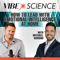 THE VIBE SCIENCE PODCAST artwork