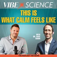 THE VIBE SCIENCE PODCAST artwork