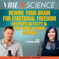 THE VIBE SCIENCE PODCAST artwork
