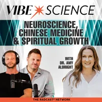 THE VIBE SCIENCE PODCAST artwork