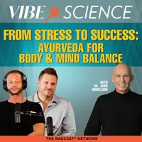 THE VIBE SCIENCE PODCAST artwork