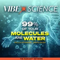 THE VIBE SCIENCE PODCAST artwork