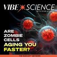 THE VIBE SCIENCE PODCAST artwork
