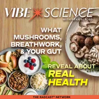 THE VIBE SCIENCE PODCAST artwork