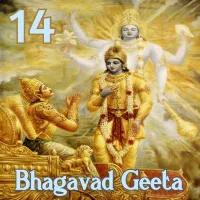 Bhagavad Gita (English) artwork
