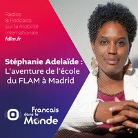 Français dans le Monde (FDLM) artwork