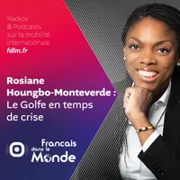 Français dans le Monde (FDLM) artwork