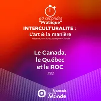 Français dans le Monde (FDLM) artwork
