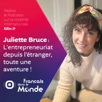 Français dans le Monde (FDLM) artwork