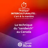 Français dans le Monde (FDLM) artwork