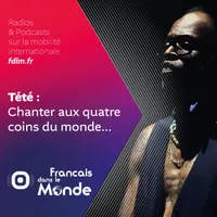 Français dans le Monde (FDLM) artwork