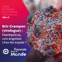 Français dans le Monde (FDLM) artwork