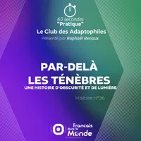 Français dans le Monde (FDLM) artwork