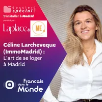 Français dans le Monde (FDLM) artwork