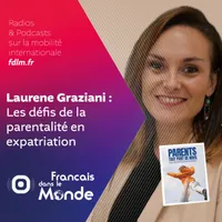 Français dans le Monde (FDLM) artwork