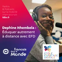 Français dans le Monde (FDLM) artwork