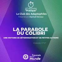 Français dans le Monde (FDLM) artwork