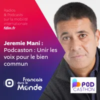 Français dans le Monde (FDLM) artwork