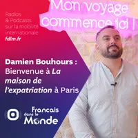 Français dans le Monde (FDLM) artwork