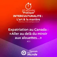Français dans le Monde (FDLM) artwork