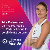 Français dans le Monde (FDLM) artwork