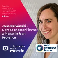 Français dans le Monde (FDLM) artwork