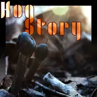 Hog Story artwork