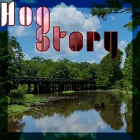 Hog Story artwork