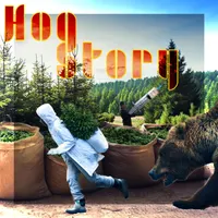 Hog Story artwork