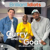 Brilliant Idiots artwork
