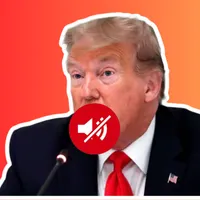 Because News artwork