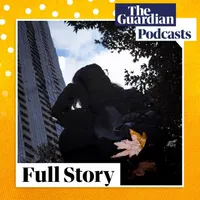 Full Story artwork