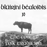 Blúiríní Béaloidis Folklore Podcast artwork