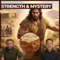 The Land of Israel Network artwork