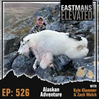 Eastmans' Elevated artwork