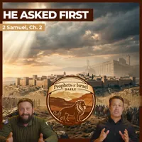 The Land of Israel Network artwork