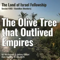 The Land of Israel Network artwork