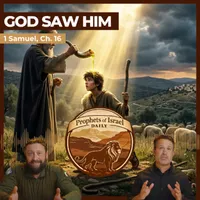 The Land of Israel Network artwork
