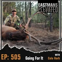 Eastmans' Elevated artwork