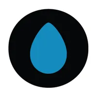 Wave 94 artwork