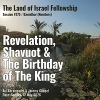 The Land of Israel Network artwork