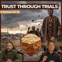 The Land of Israel Network artwork